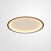 Светодиодный потолочный светильник LACEY D30 (ImperiumLoft, 224321-26)